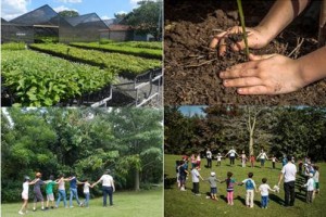 Atividades no SOS Mata Atlântica