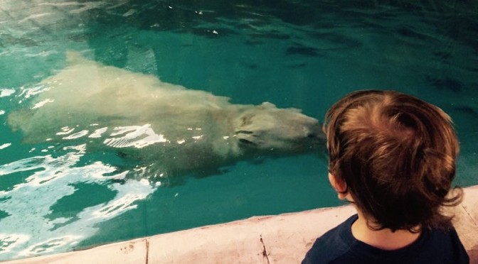 Passeio no aquário: o dia que me arrependi de ter levado meu filho