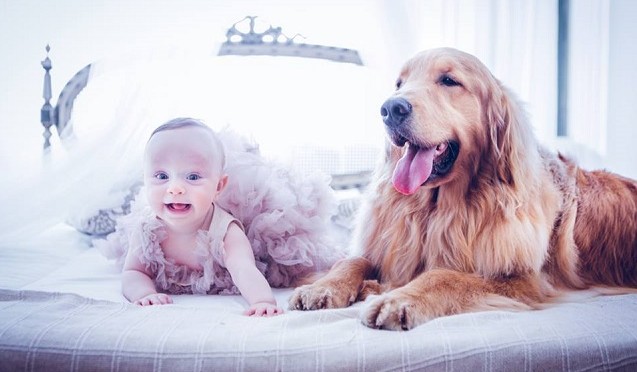 Bebê com cachorro