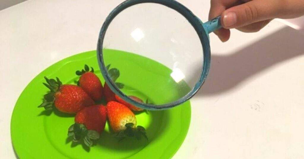 Brincadeiras para fazer em casa